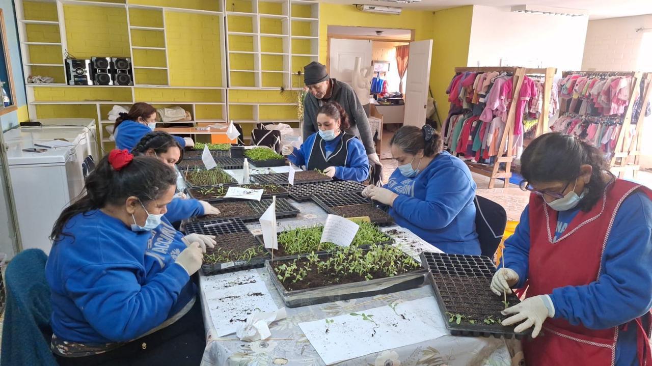 Foto del programa Germinando Sueños 3