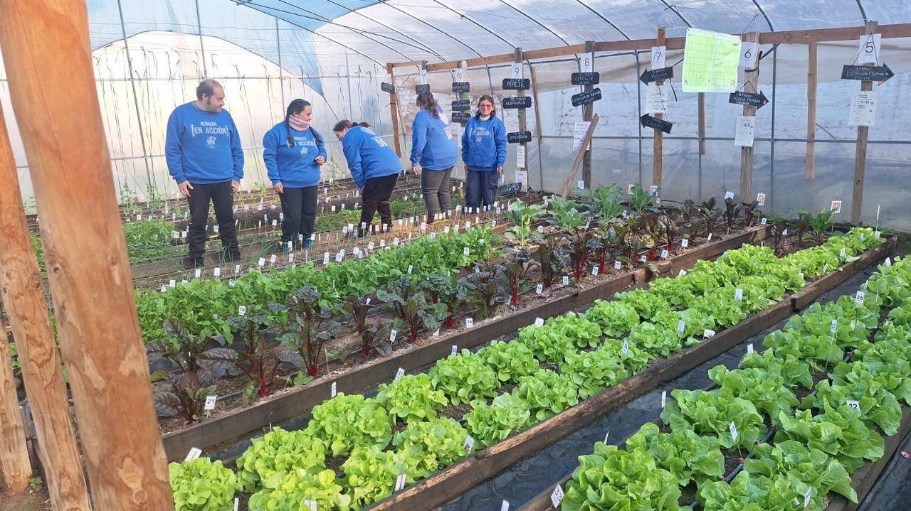 Foto del programa Germinando Sueños 4